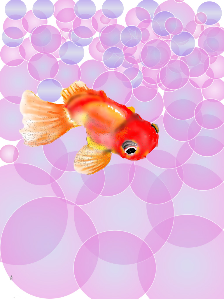 fish.jpg